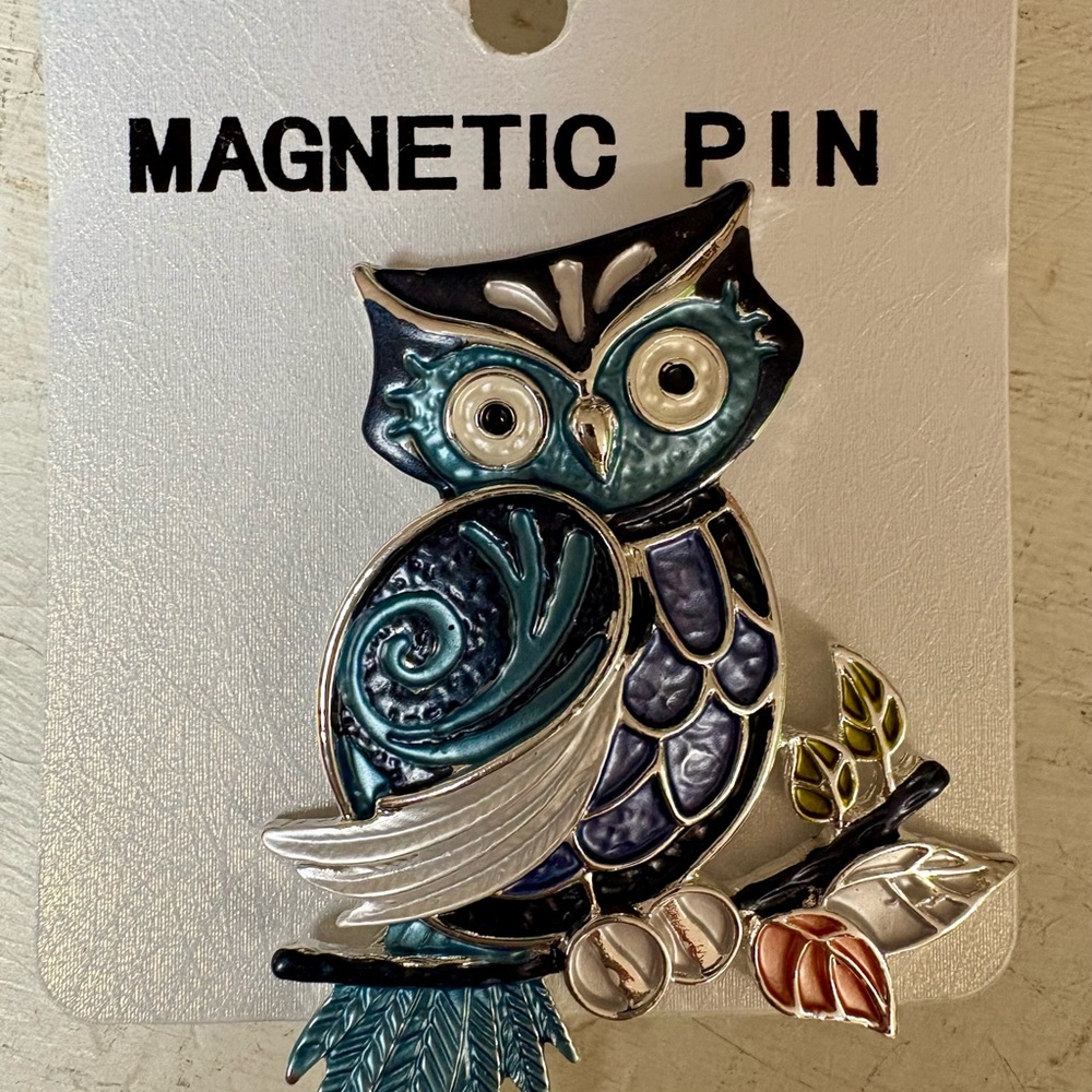 Colorful Owl Magnetic Pin Brooch New Gift Boxed